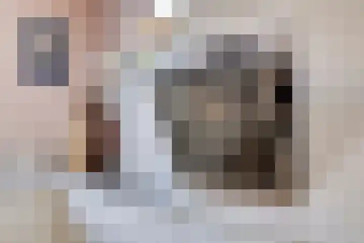 Nijenkamp 110 Druten thumbnail 17