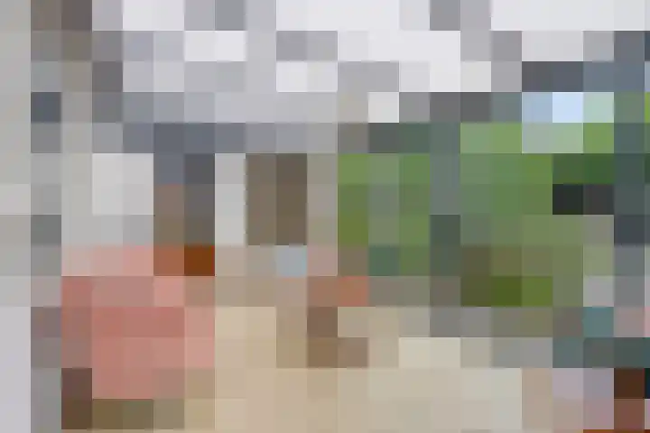 Nijenkamp 110 Druten thumbnail 19