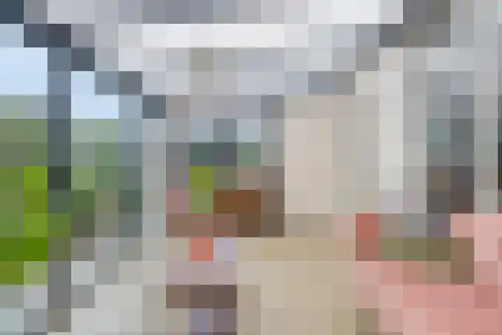 Nijenkamp 110 Druten thumbnail 21
