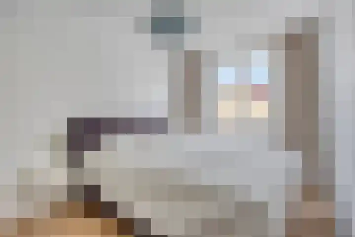 Nijenkamp 110 Druten thumbnail 24