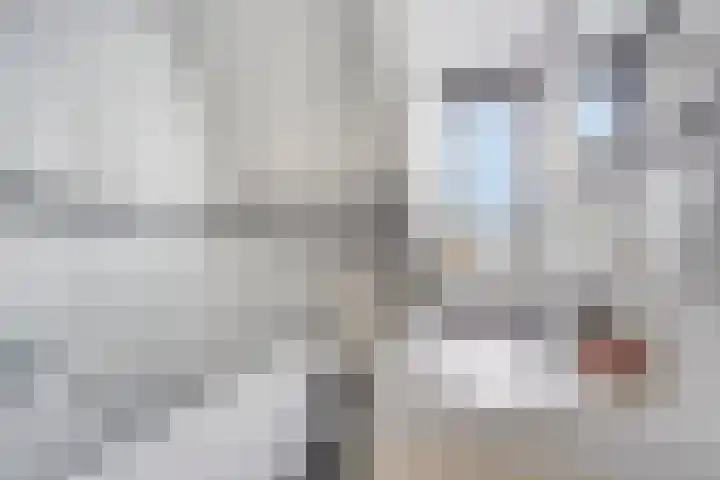 Nijenkamp 110 Druten thumbnail 26