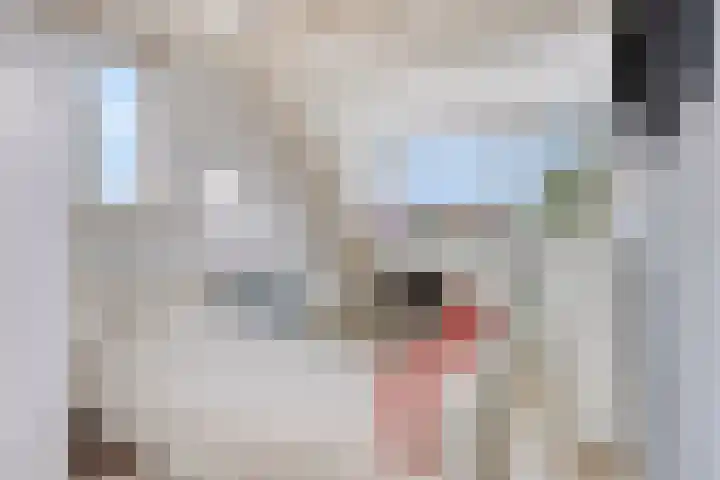 Nijenkamp 110 Druten thumbnail 32