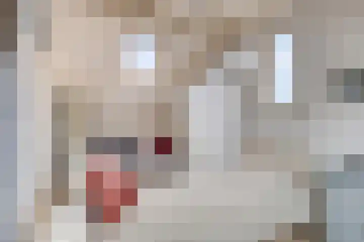 Nijenkamp 110 Druten thumbnail 33