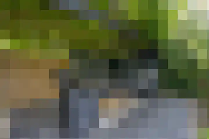 Nijenkamp 110 Druten thumbnail 36