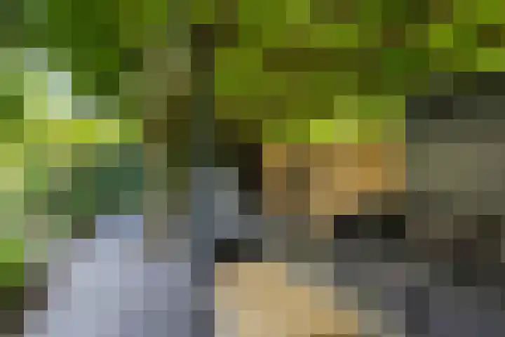Nijenkamp 110 Druten thumbnail 37