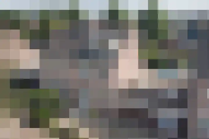 Nijenkamp 110 Druten thumbnail 38