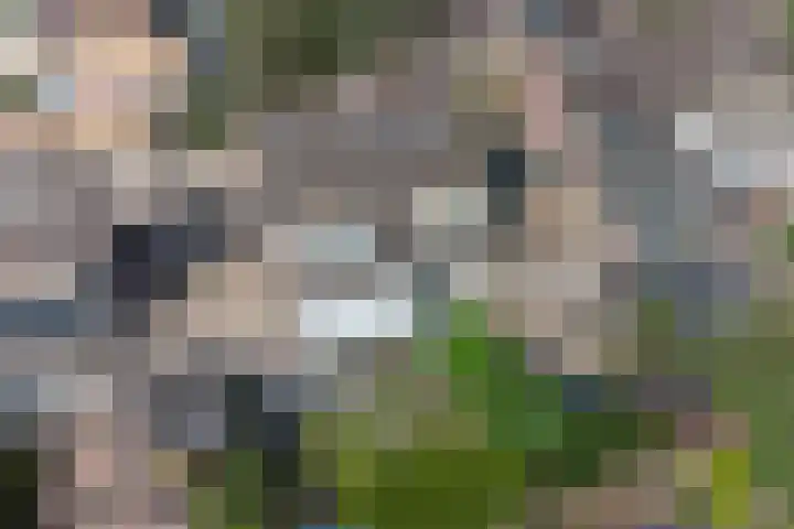 Nijenkamp 110 Druten thumbnail 39
