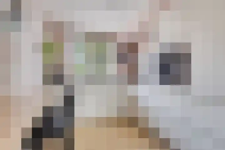 Nijenkamp 110 Druten thumbnail 4