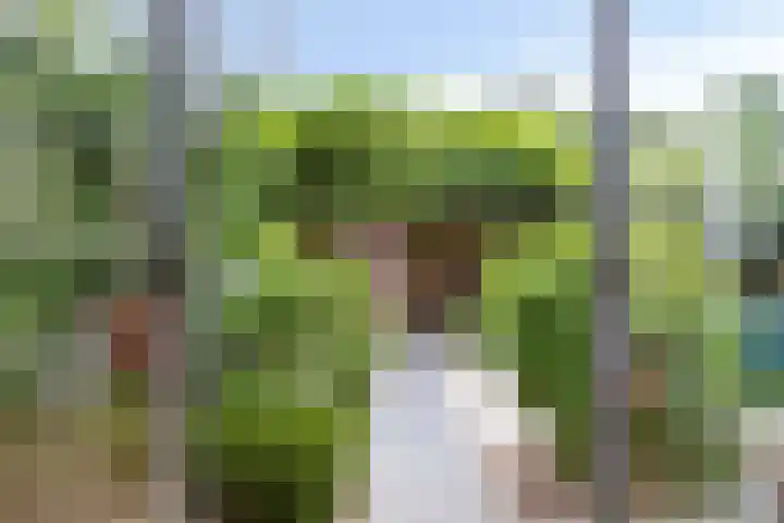 Nijenkamp 110 Druten thumbnail 5