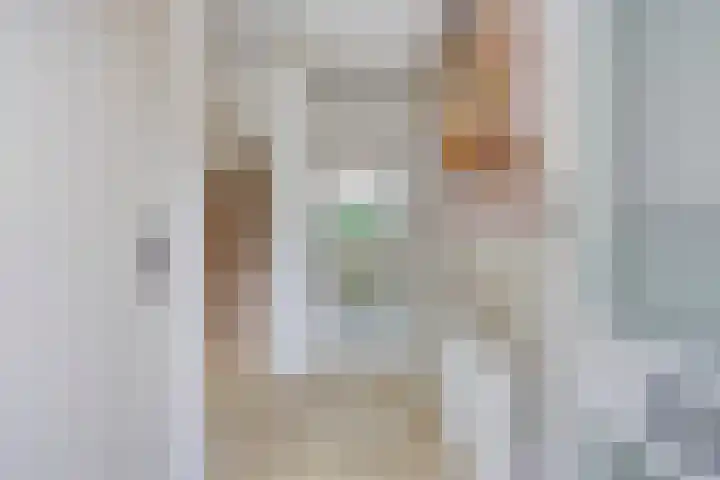 Nijenkamp 110 Druten thumbnail 8