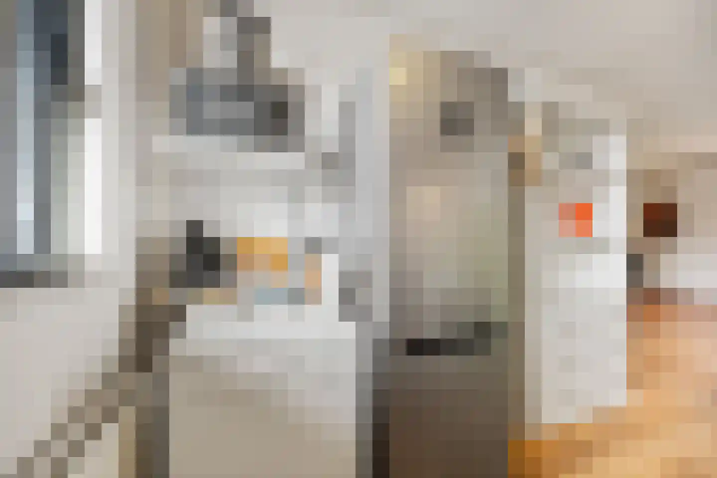 Nijenkamp 136 Druten thumbnail 13