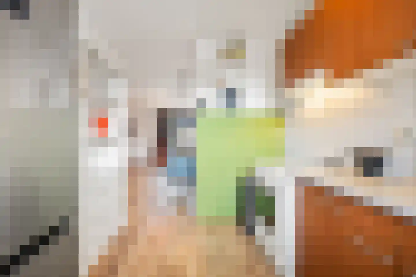 Nijenkamp 136 Druten thumbnail 14