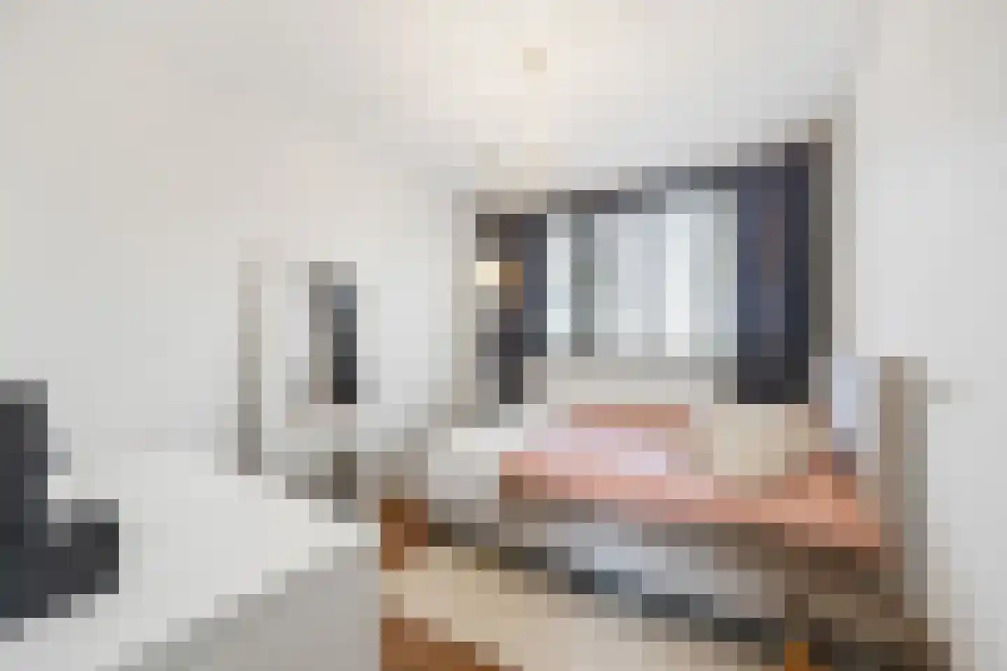 Nijenkamp 136 Druten thumbnail 21