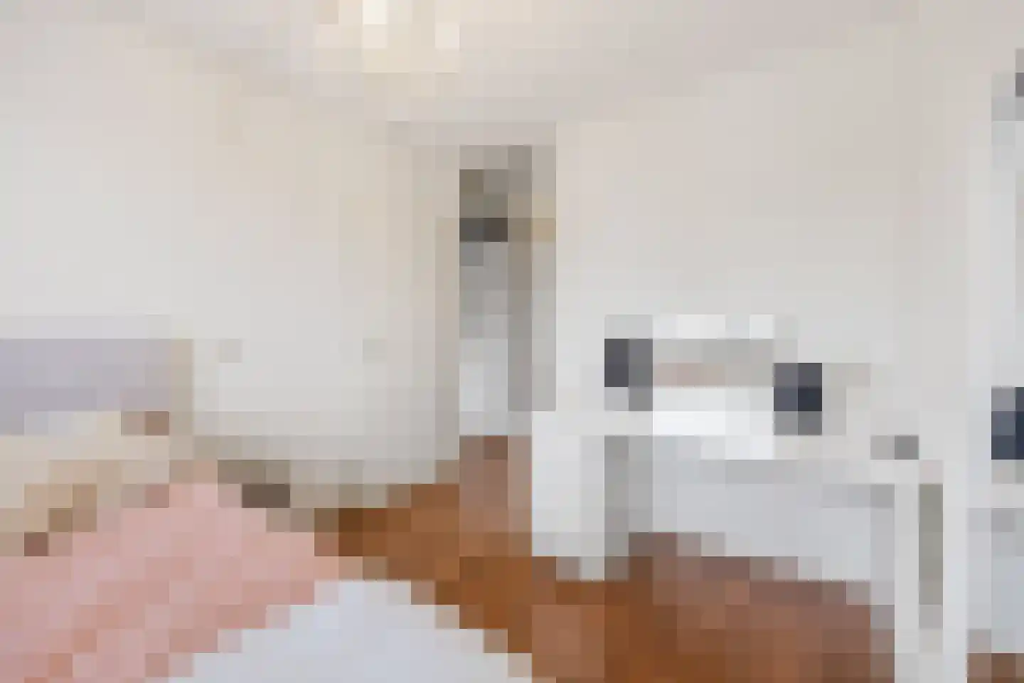 Nijenkamp 136 Druten thumbnail 22