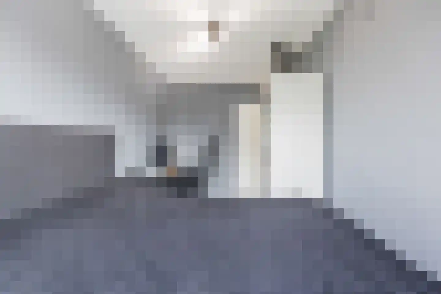Nijenkamp 136 Druten thumbnail 24