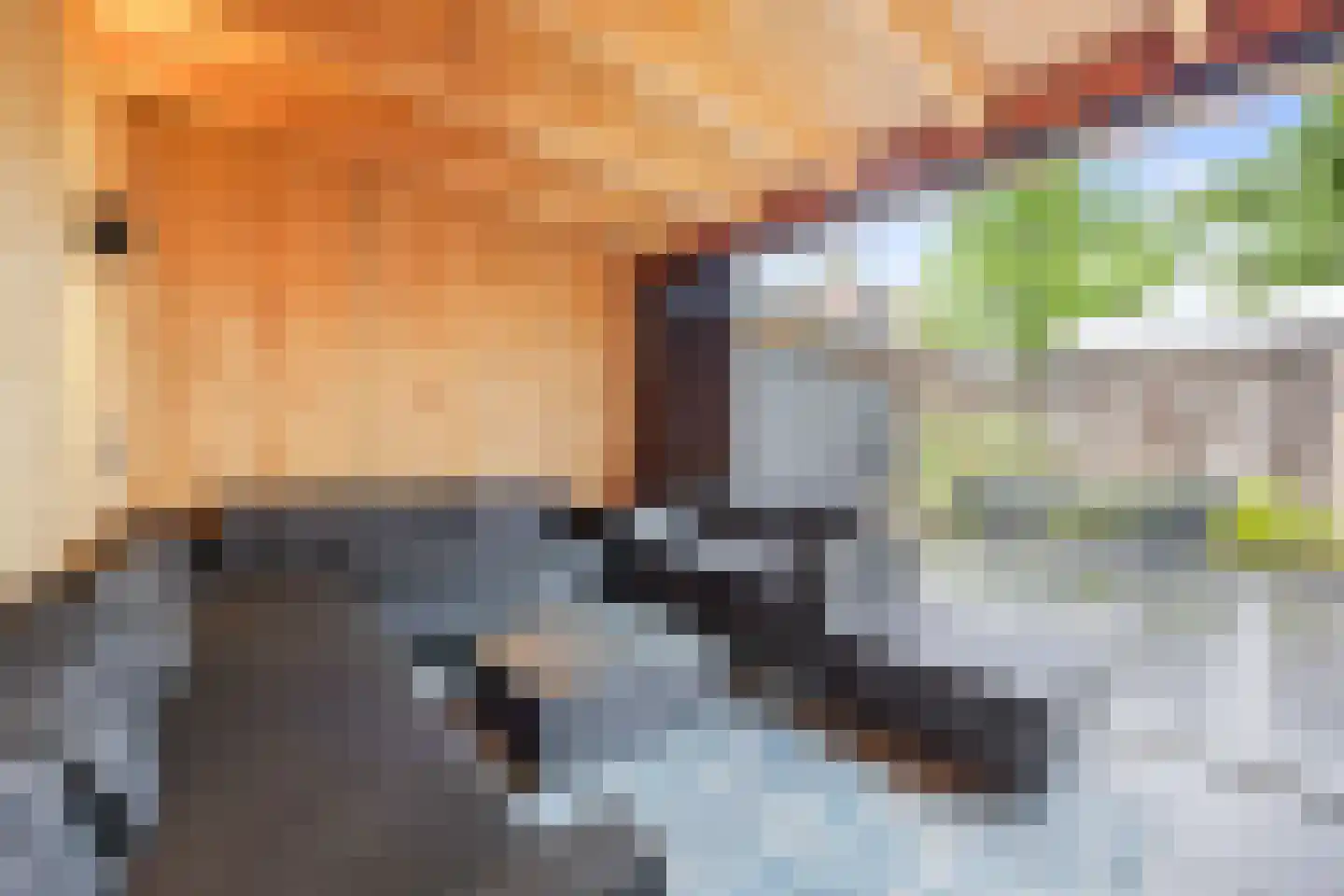 Nijenkamp 136 Druten thumbnail 34