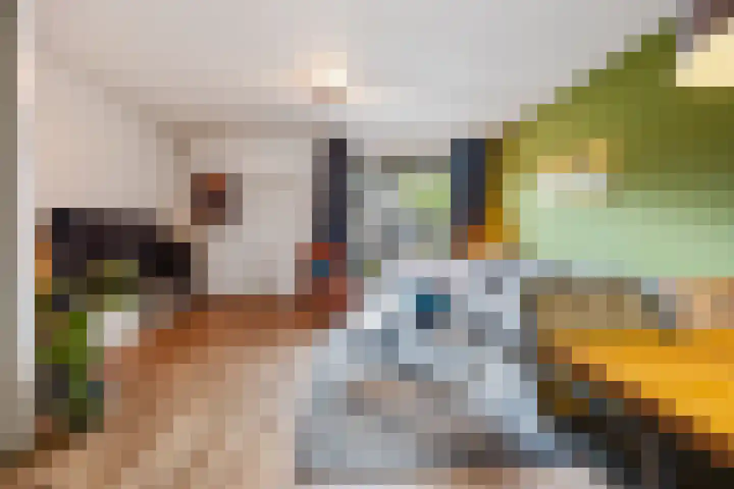 Nijenkamp 136 Druten thumbnail 6