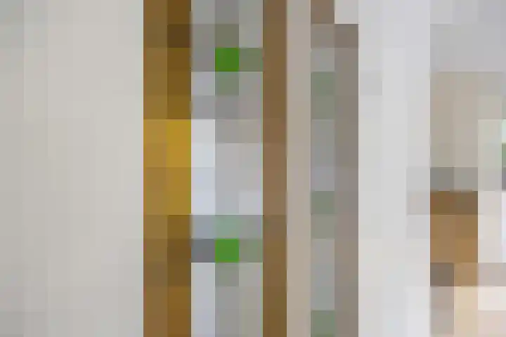 Nijenkamp 182 Druten thumbnail 10