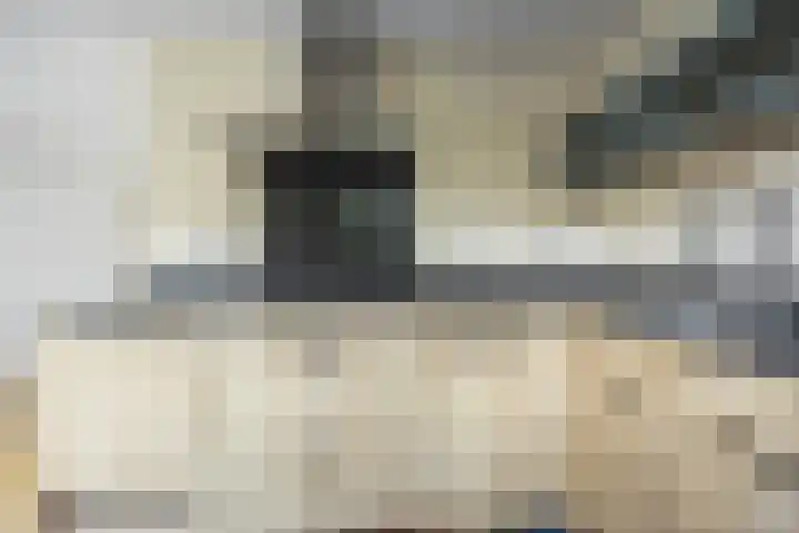 Nijenkamp 182 Druten thumbnail 13