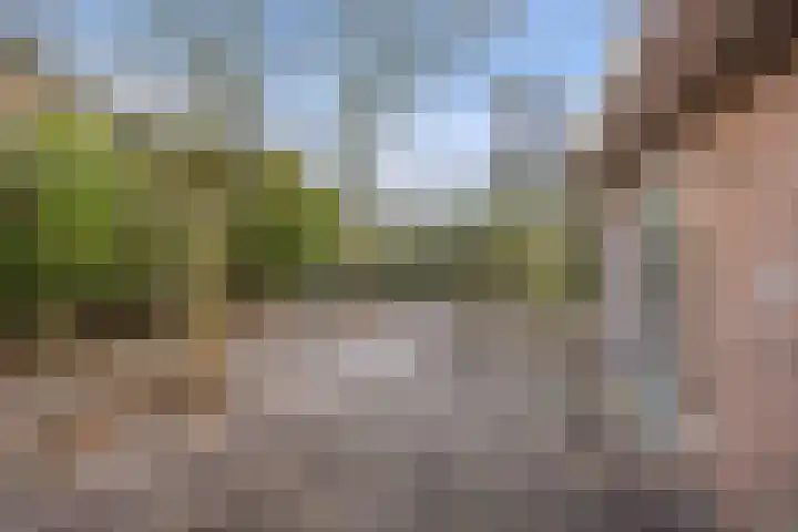Nijenkamp 182 Druten thumbnail 31
