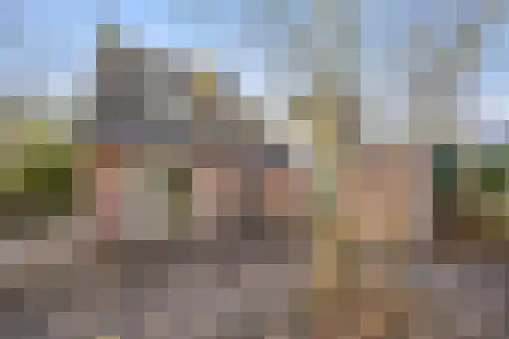 Nijenkamp 182 Druten thumbnail 32