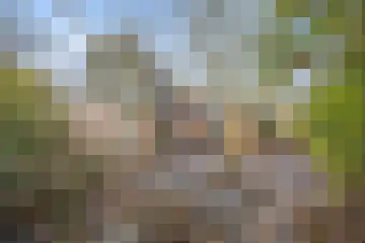 Nijenkamp 182 Druten thumbnail 33