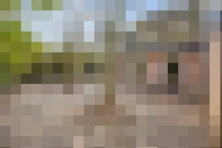 Nijenkamp 182 Druten thumbnail 34