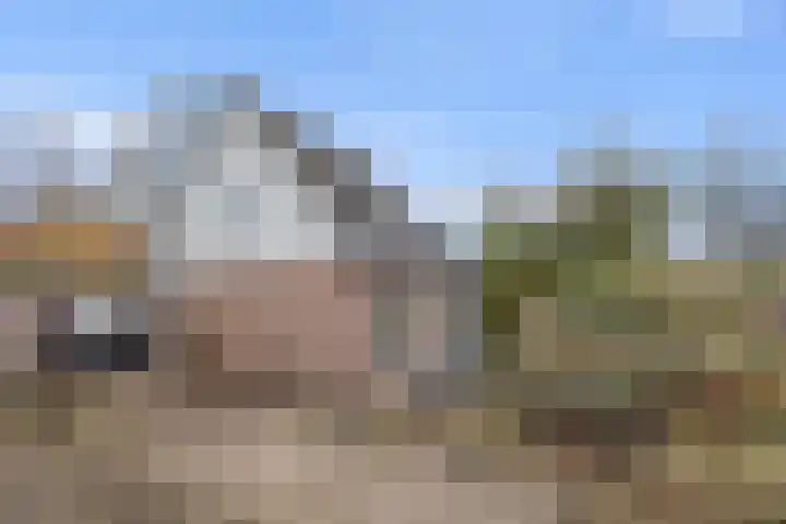 Nijenkamp 182 Druten thumbnail 35