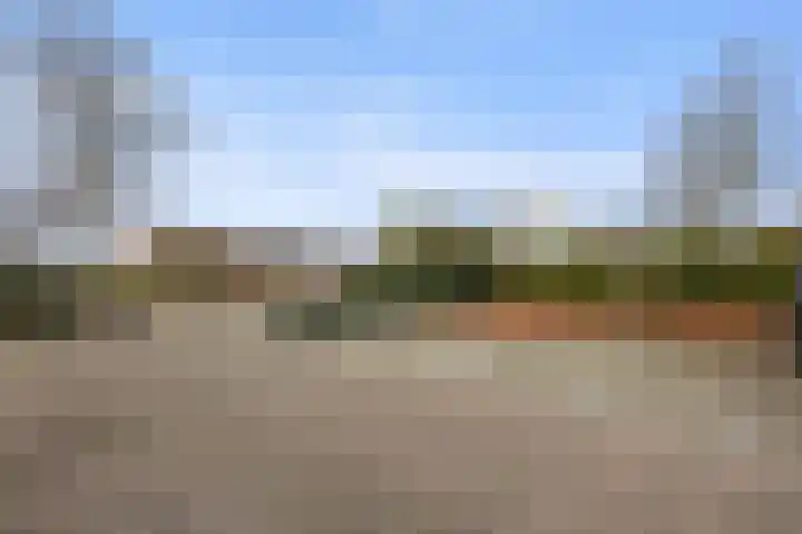 Nijenkamp 182 Druten thumbnail 39