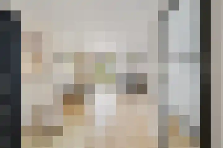 Nijenkamp 186 Druten thumbnail 12