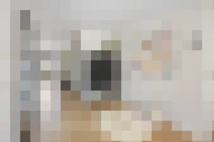 Nijenkamp 186 Druten thumbnail 13