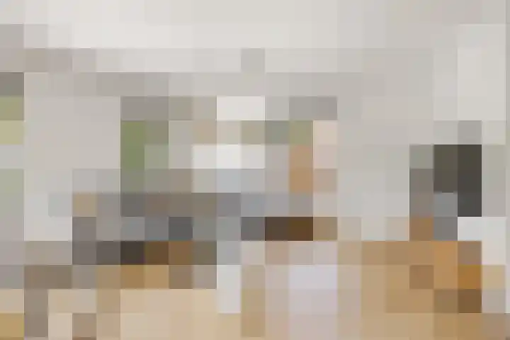 Nijenkamp 186 Druten thumbnail 15