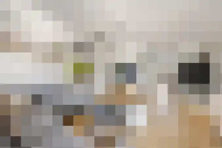 Nijenkamp 186 Druten thumbnail 16