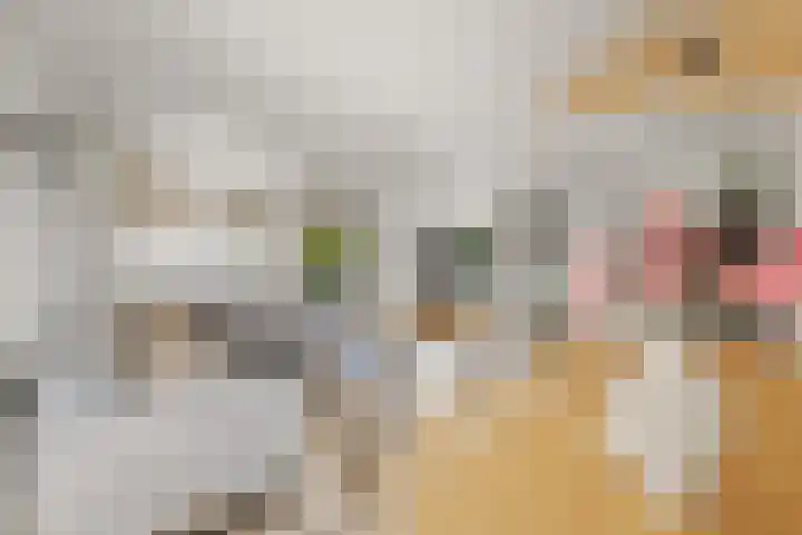 Nijenkamp 186 Druten thumbnail 18