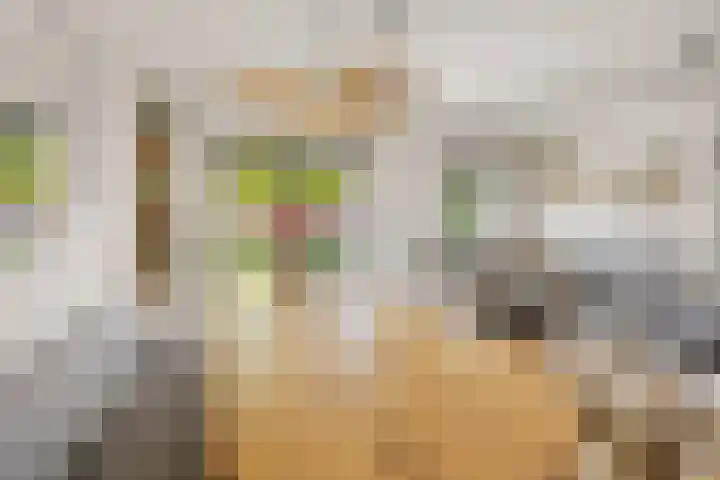 Nijenkamp 186 Druten thumbnail 19