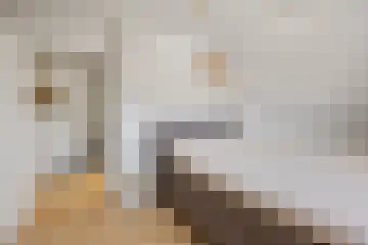 Nijenkamp 186 Druten thumbnail 24