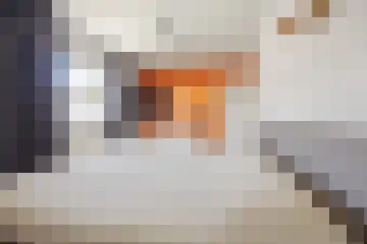 Nijenkamp 186 Druten thumbnail 25