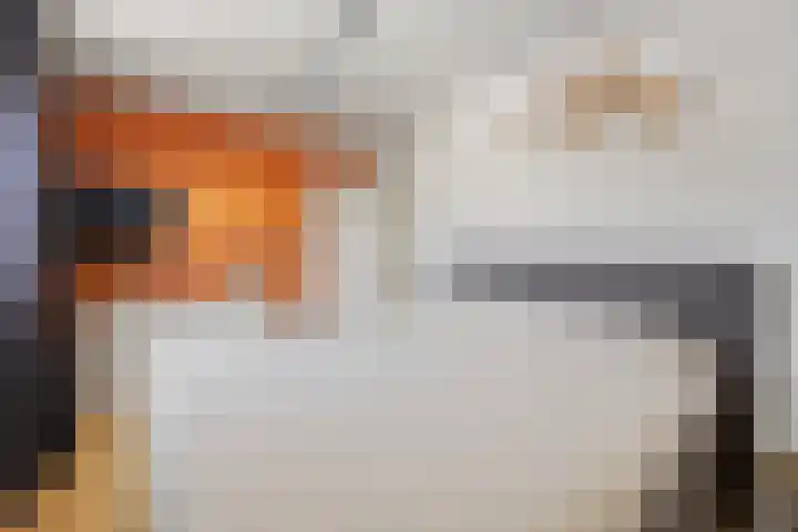 Nijenkamp 186 Druten thumbnail 26