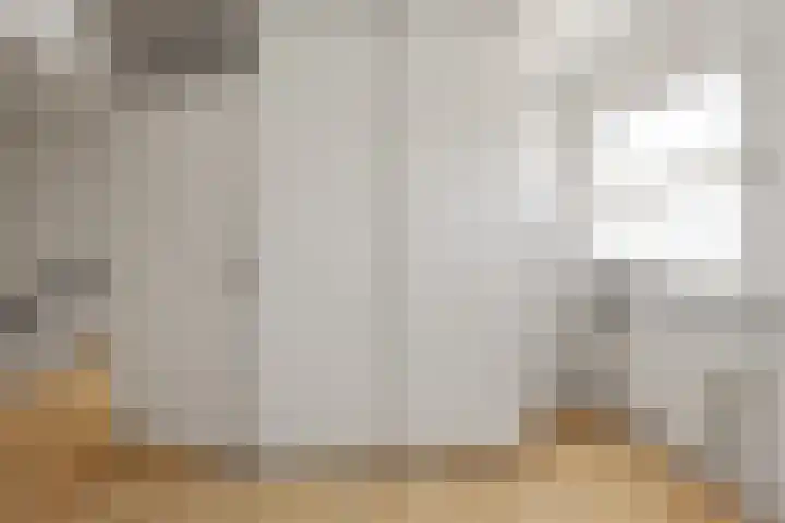 Nijenkamp 186 Druten thumbnail 33