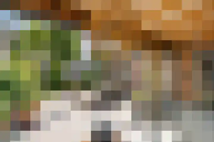 Nijenkamp 186 Druten thumbnail 4