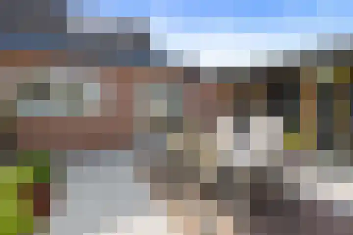 Nijenkamp 186 Druten thumbnail 41