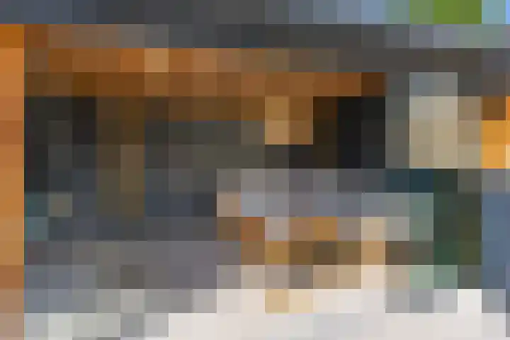 Nijenkamp 186 Druten thumbnail 43