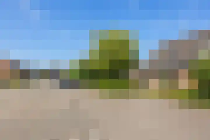 Nijenkamp 186 Druten thumbnail 46
