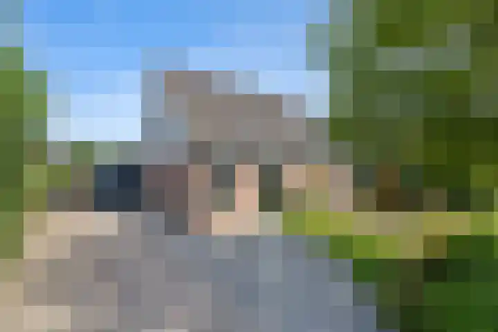 Nijenkamp 186 Druten thumbnail 53