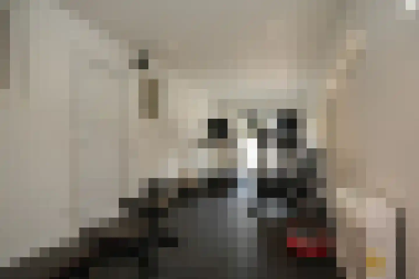 Nijenkamp 8 Druten thumbnail 26