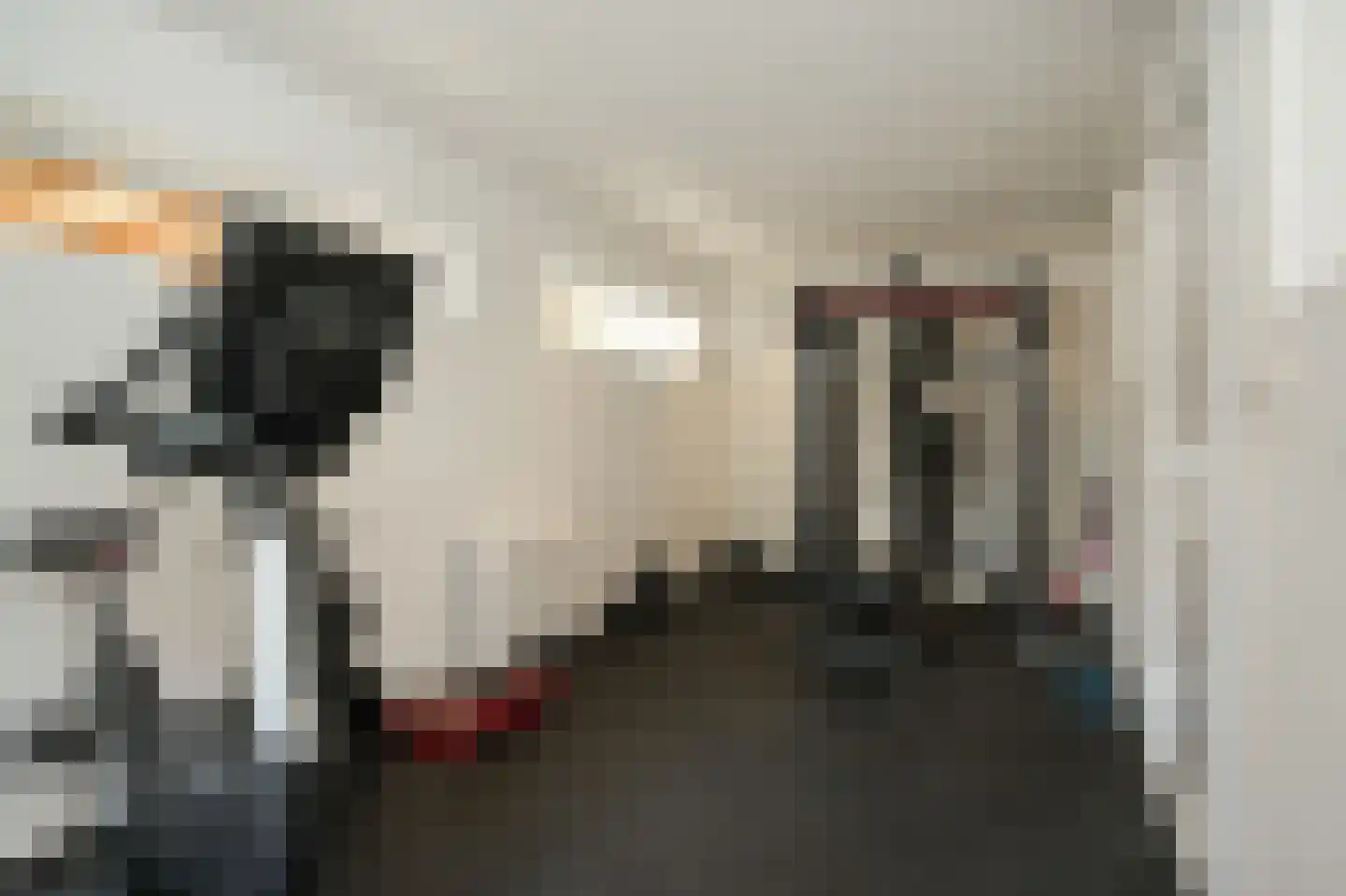 Nijenkamp 8 Druten thumbnail 27