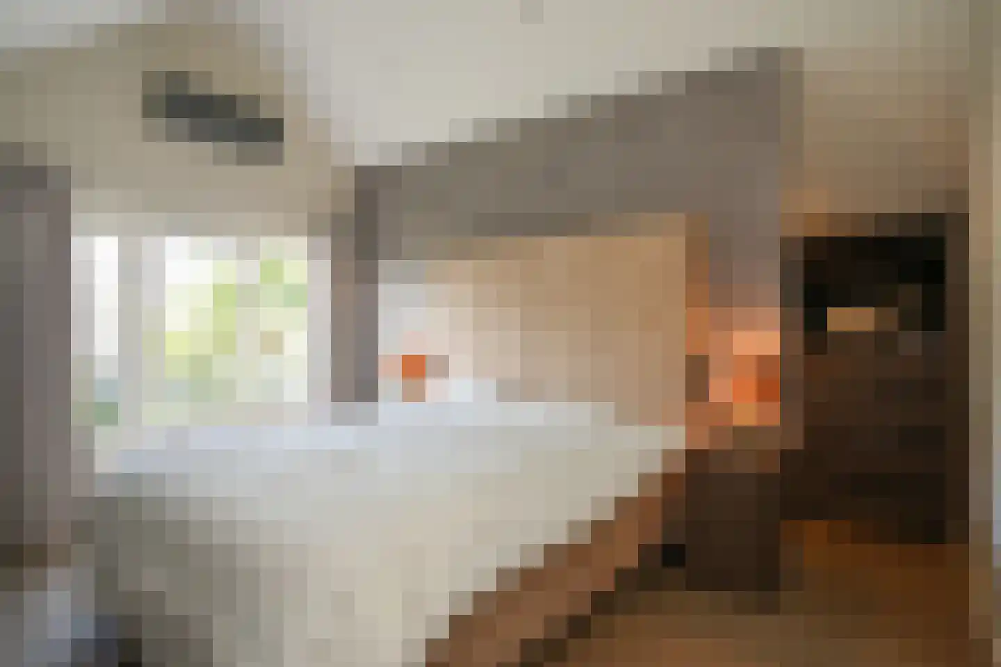 Nijenkamp 8 Druten thumbnail 31
