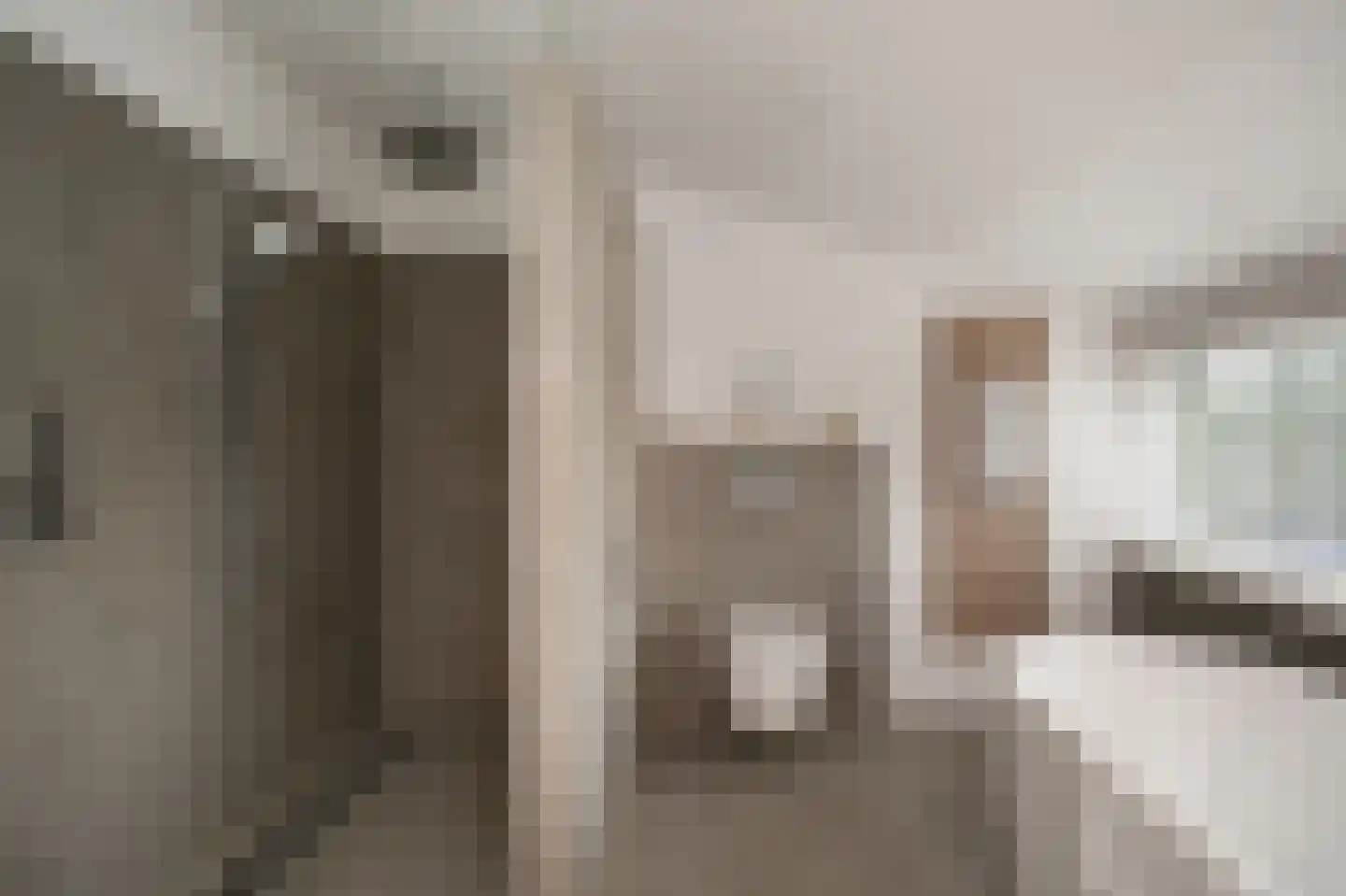 Nijenkamp 8 Druten thumbnail 36