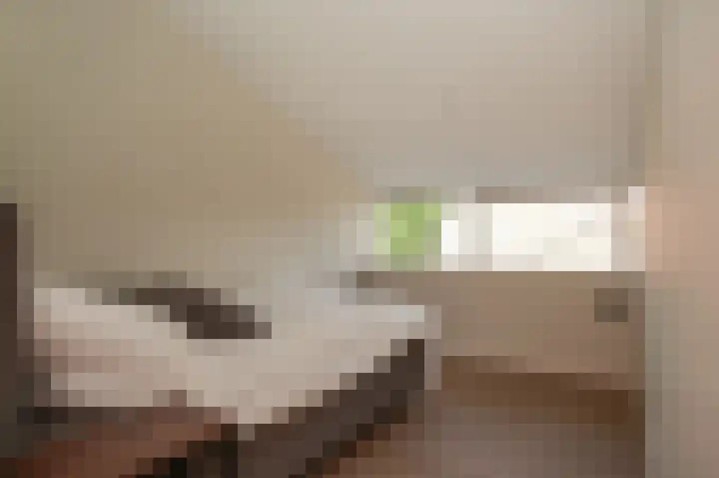 Nijenkamp 8 Druten thumbnail 41