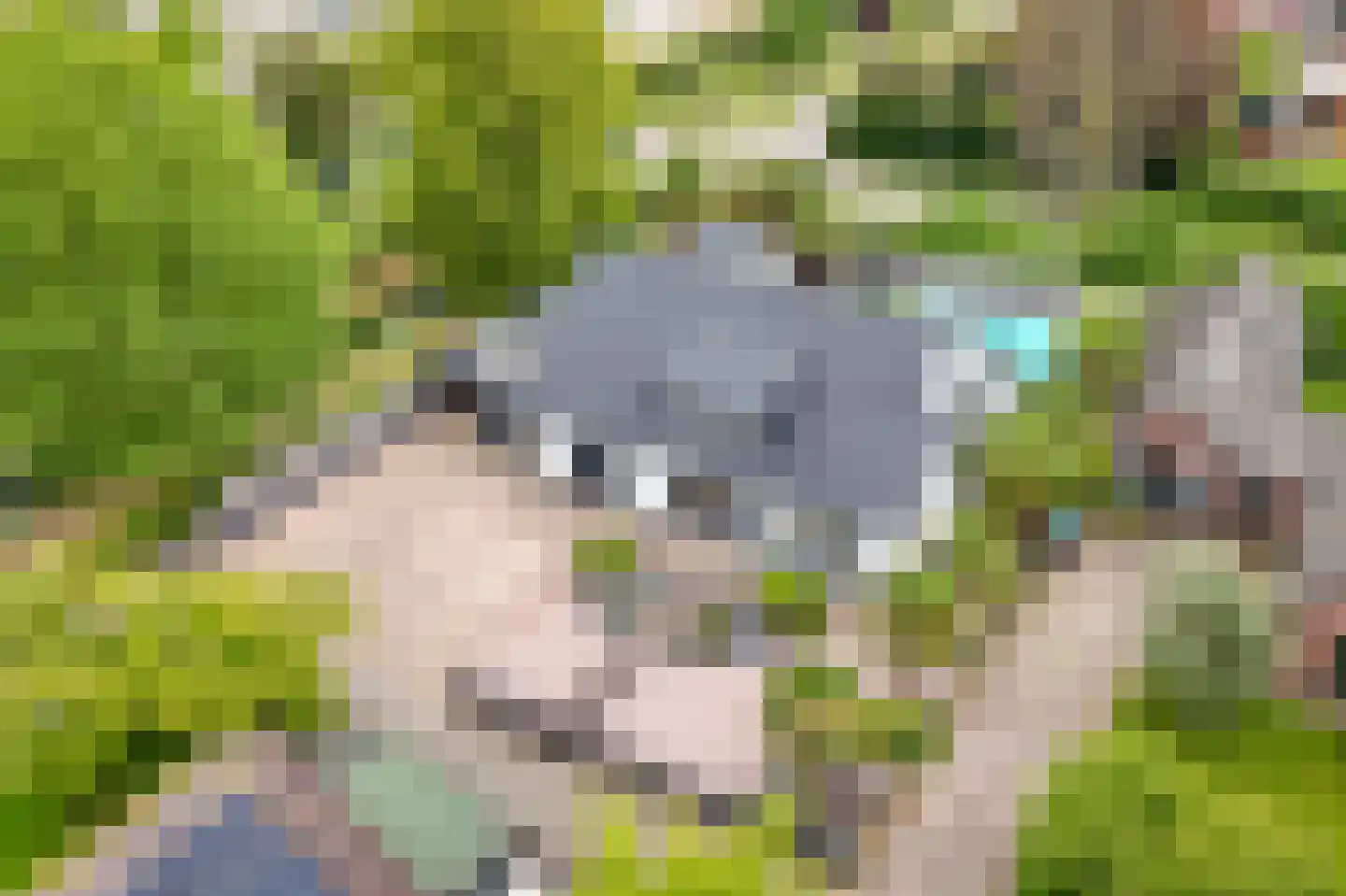 Nijenkamp 8 Druten thumbnail 58